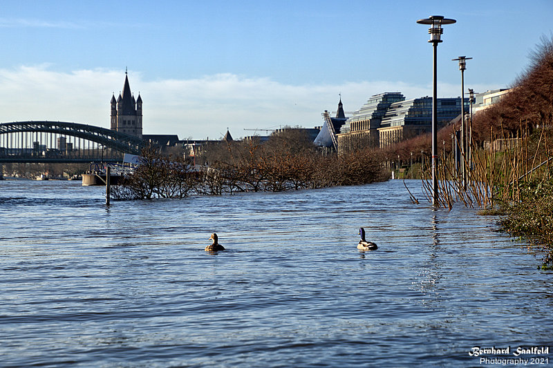Bernhard Saalfeld - Rheinpromenade 2